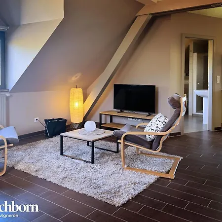 Le Moenchborn - La Maison Des Vignerons アパート オルシュヴィラー