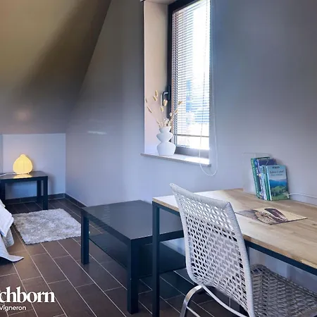 Le Moenchborn - La Maison Des Vignerons オルシュヴィラー